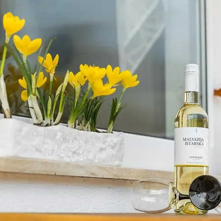 App***max Apartament